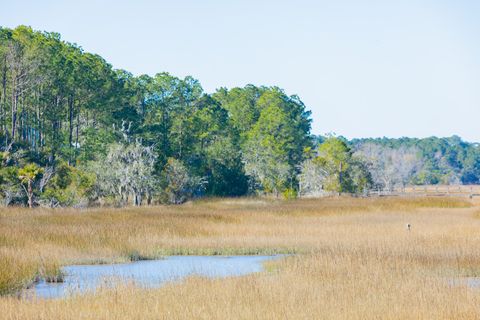 A home in Johns Island