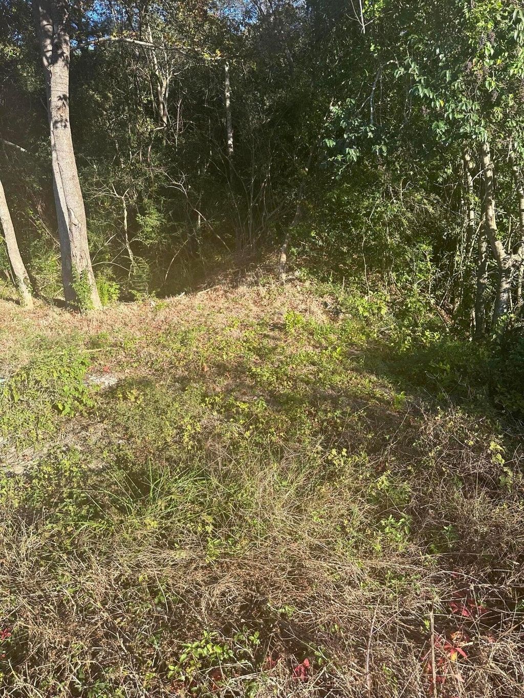 Photo of 220 N Highway 52, Moncks Corner, SC 29461 (MLS # 25010336)