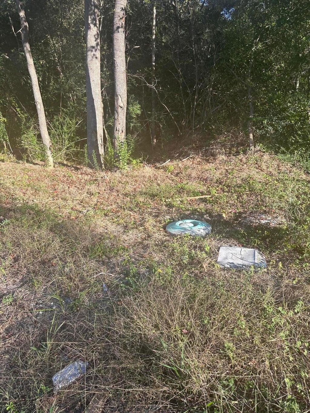 Photo of 220 N Highway 52, Moncks Corner, SC 29461 (MLS # 25010336)