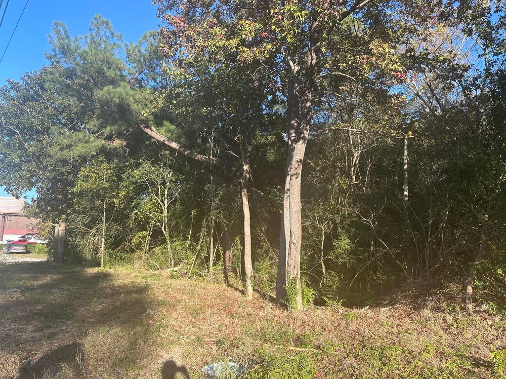 Photo of 220 N Highway 52, Moncks Corner, SC 29461 (MLS # 25010336)