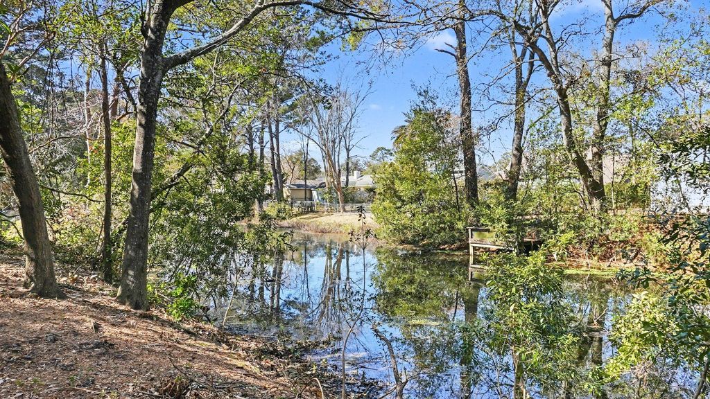 Photo of 688 Pelzer Drive, Mount Pleasant, SC 29464 (MLS # 26004825)