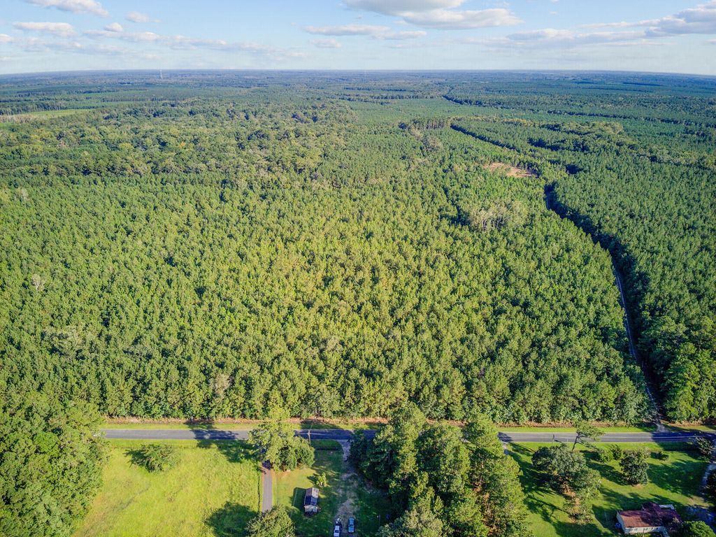 Photo of 00 Summers Drive #4, Ridgeville, SC 29472 (MLS # 25025427)