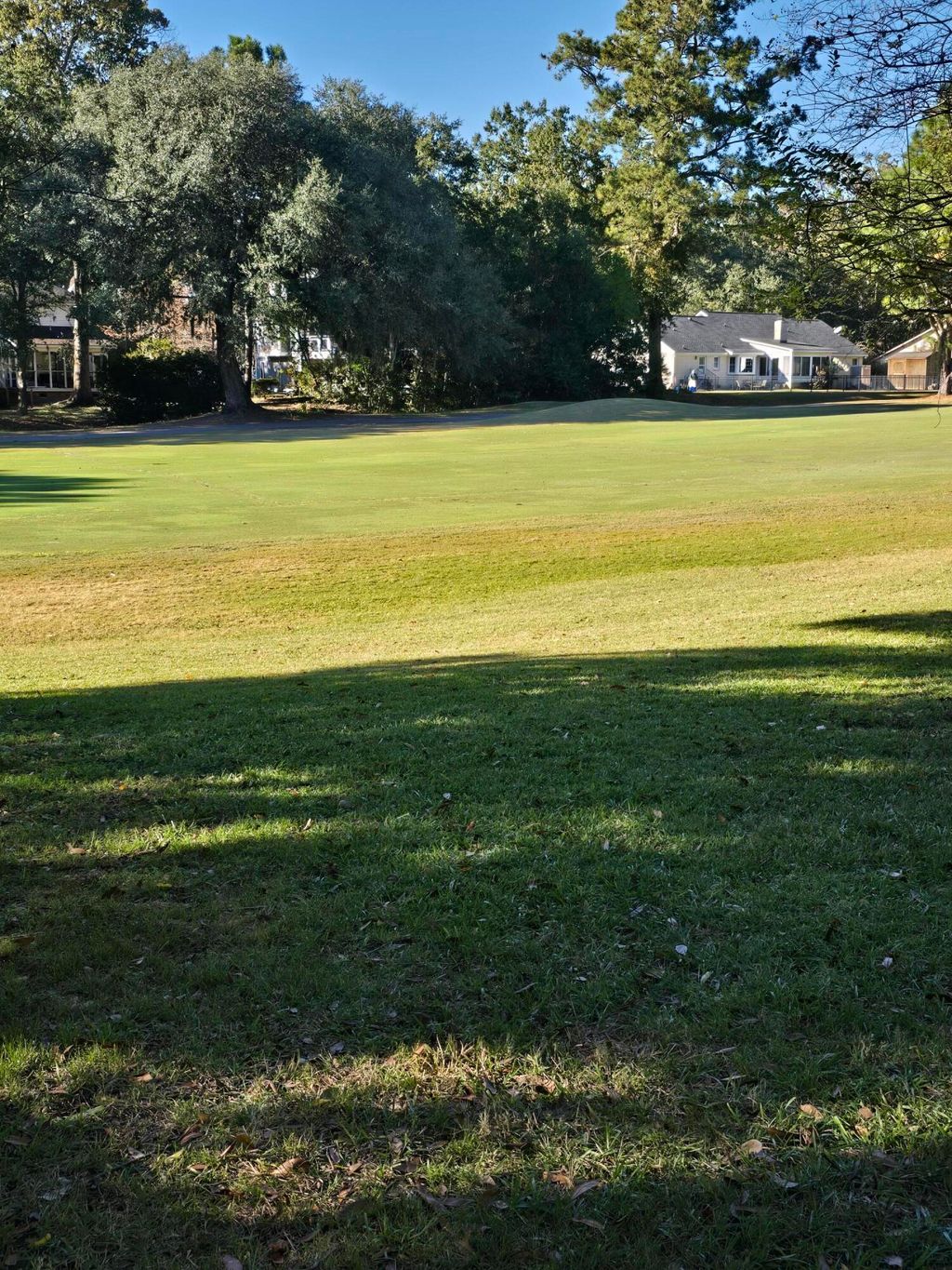 Photo of 2945 Dove Haven Court, Charleston, SC 29414 (MLS # 25029589)