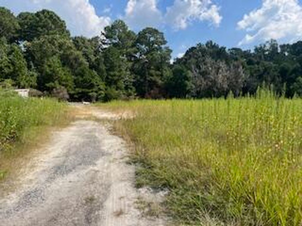 Photo of 1 Wolffs Lair Road, Charleston, SC 29414 (MLS # 25025891)