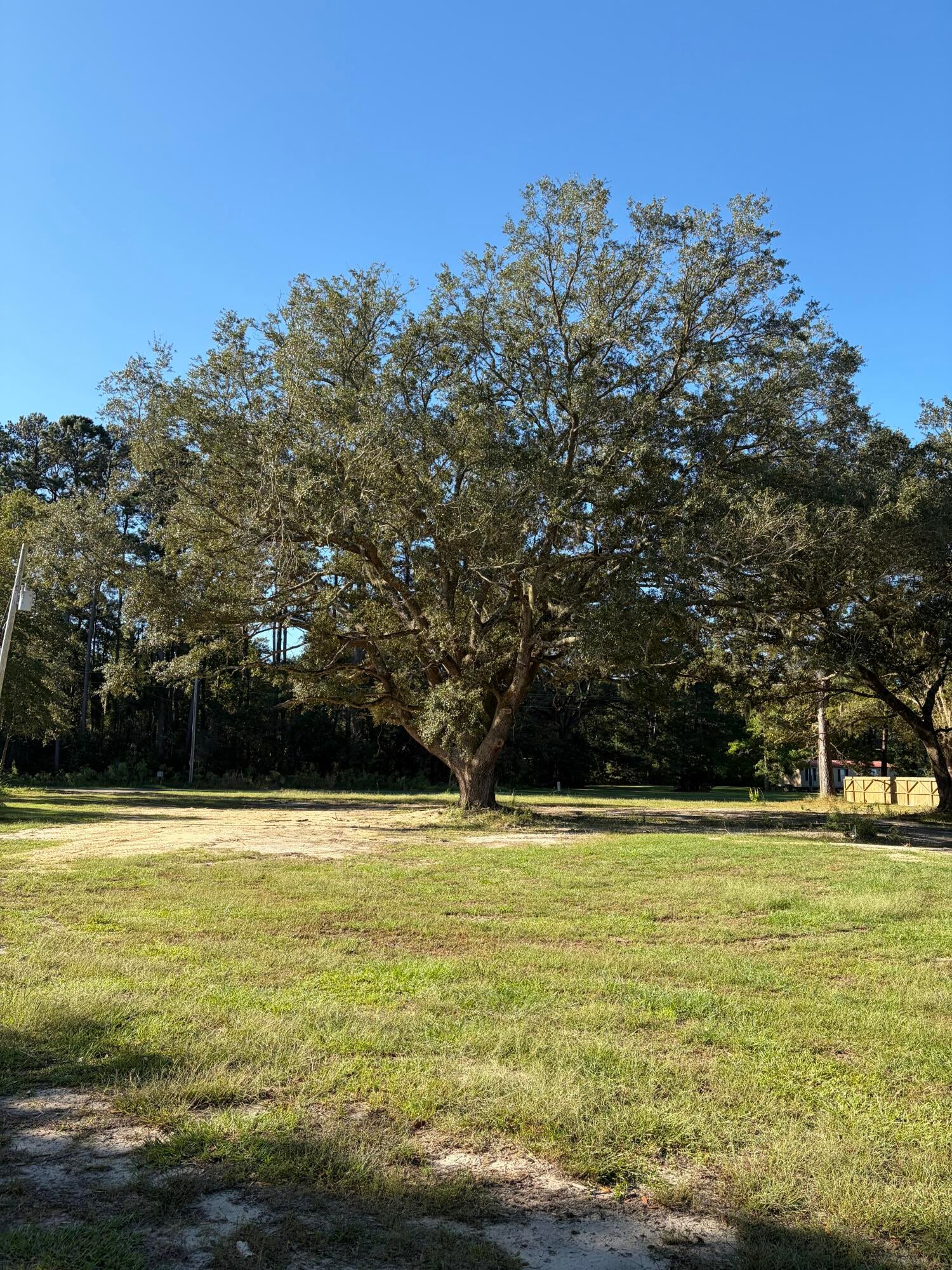 15259 Bennetts Point Road