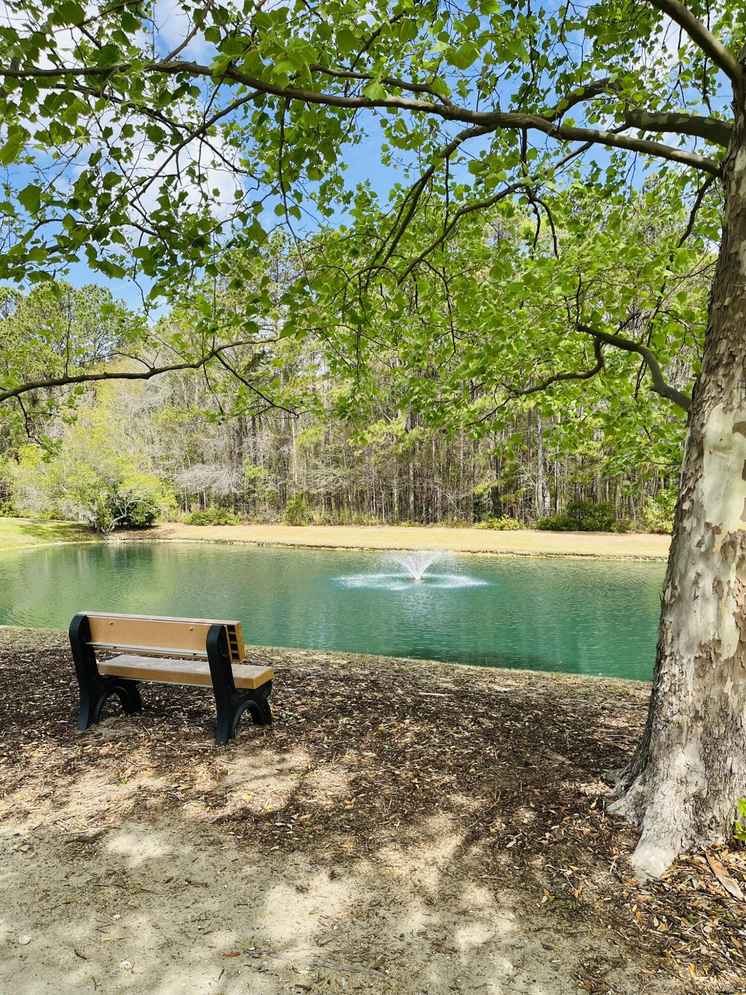 Mount Pleasant, South Carolina 29466, United States, 1 Bedroom Bedrooms, ,1 BathroomBathrooms,Residential,Active,109247