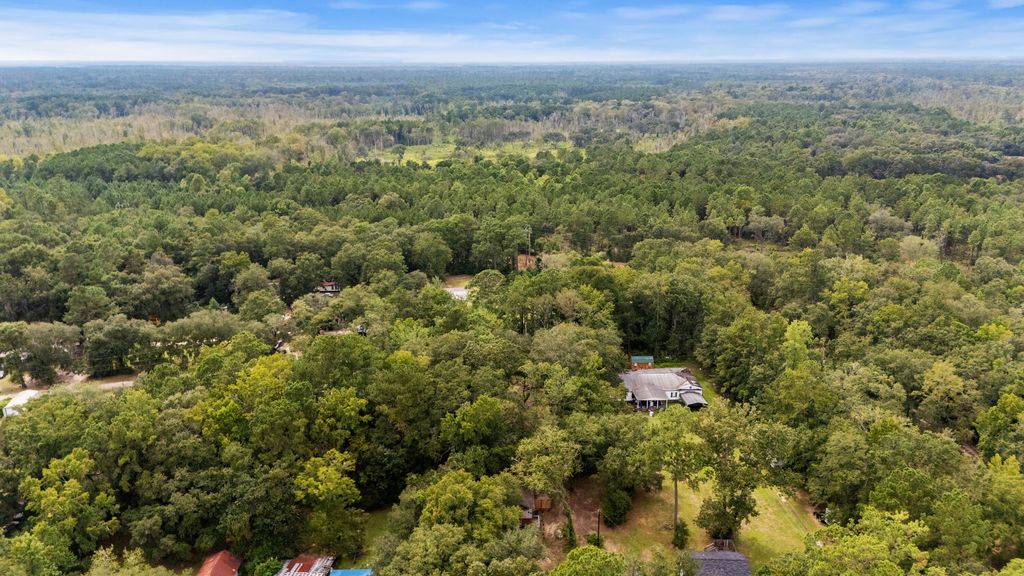Photo of 00 Jupiter Hill Road, Adams Run, SC 29426 (MLS # 25023907)