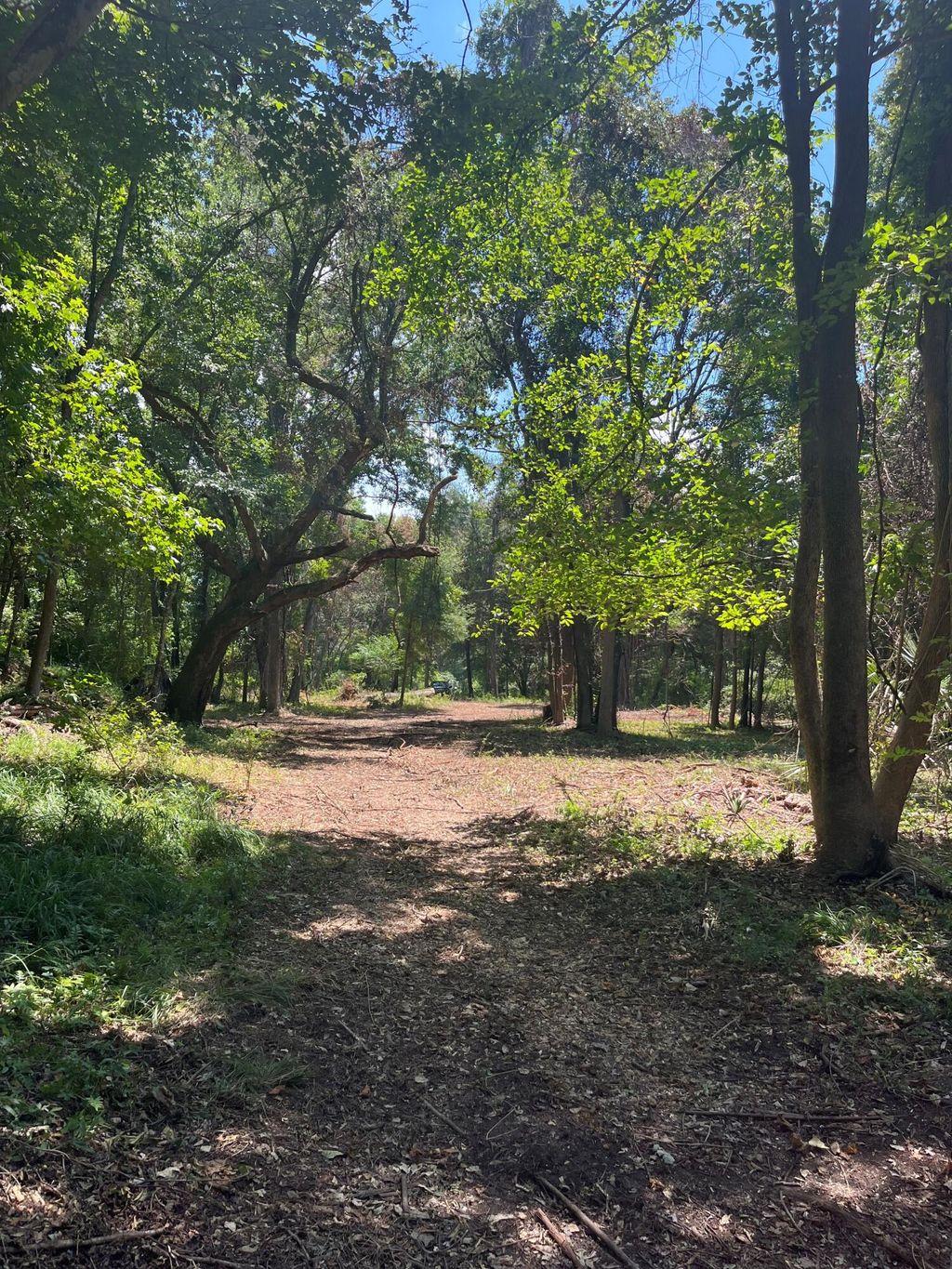 Photo of 1 Sol Farm Road, Johns Island, SC 29455 (MLS # 25021788)