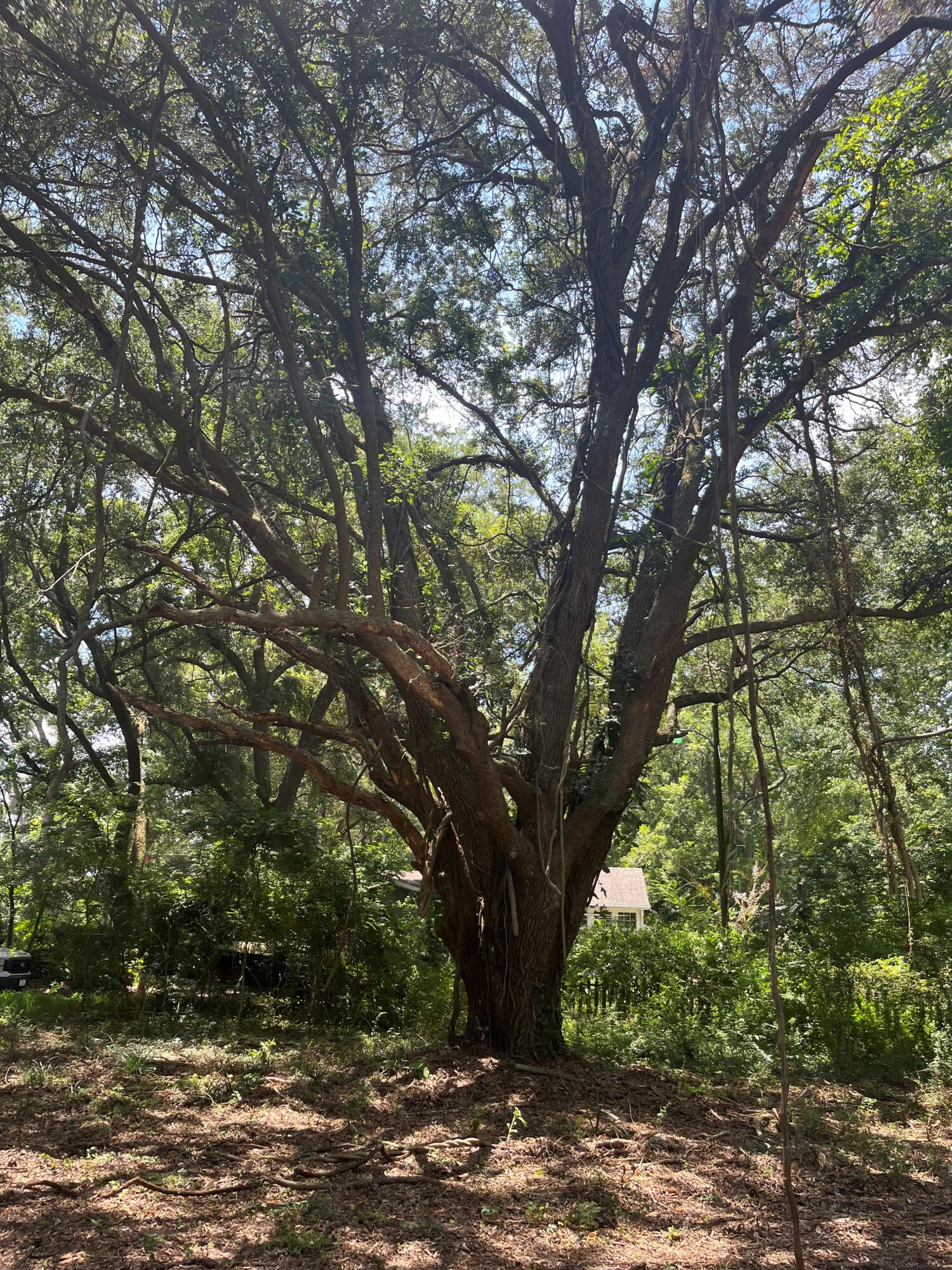1 Sol Farm Road