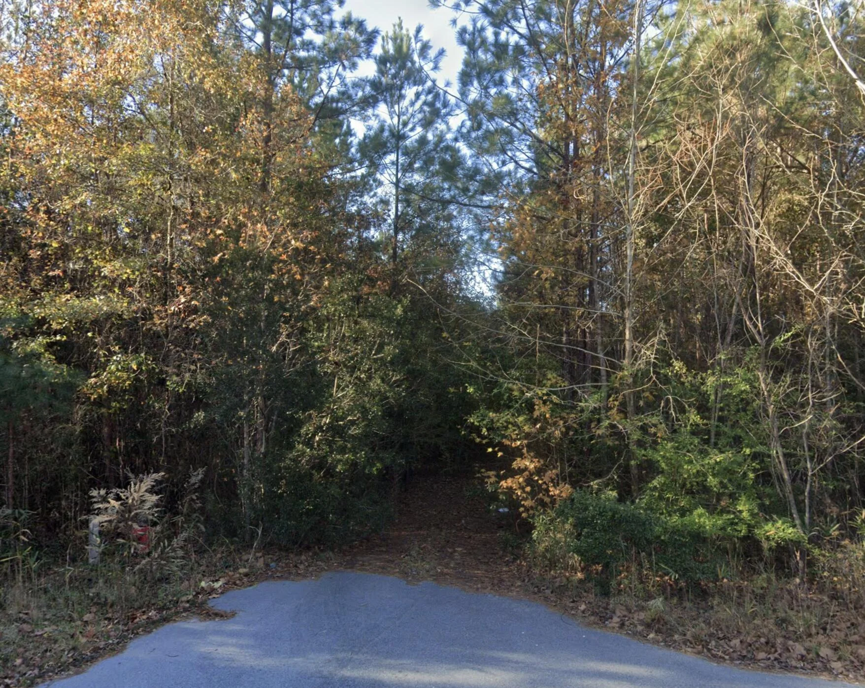 00 Oliver Street, Hampton, SC, 29924