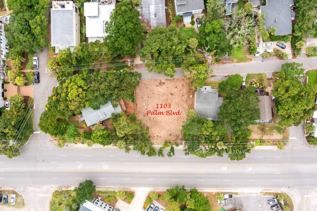 Photo of 1103 Palm Boulevard, Isle of Palms, SC 29451 (MLS # 25016685)
