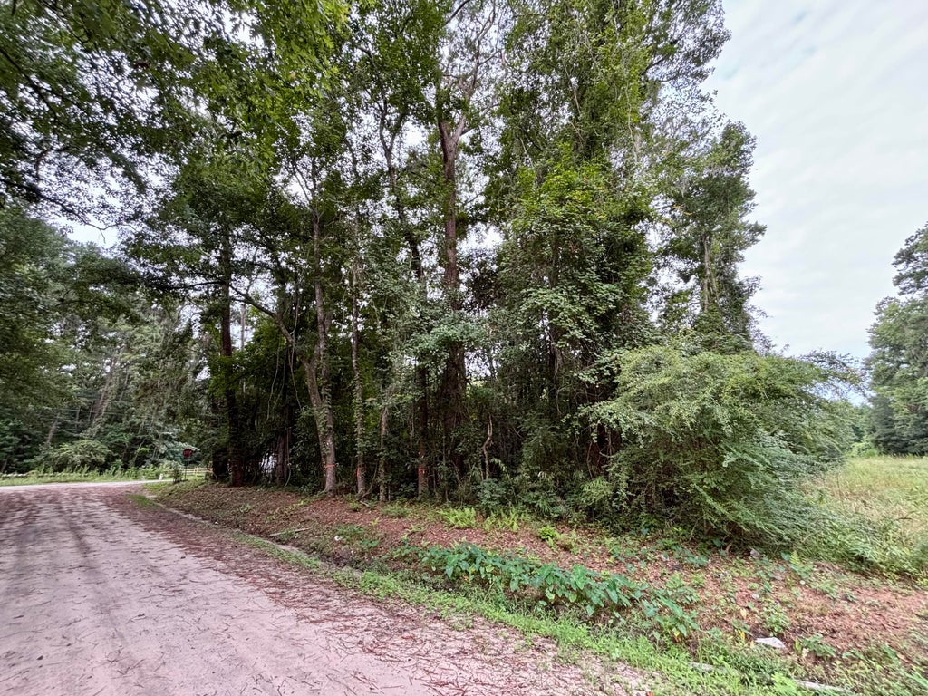 Photo of 0 Glayton Drive, Ravenel, SC 29470 (MLS # 26021463)