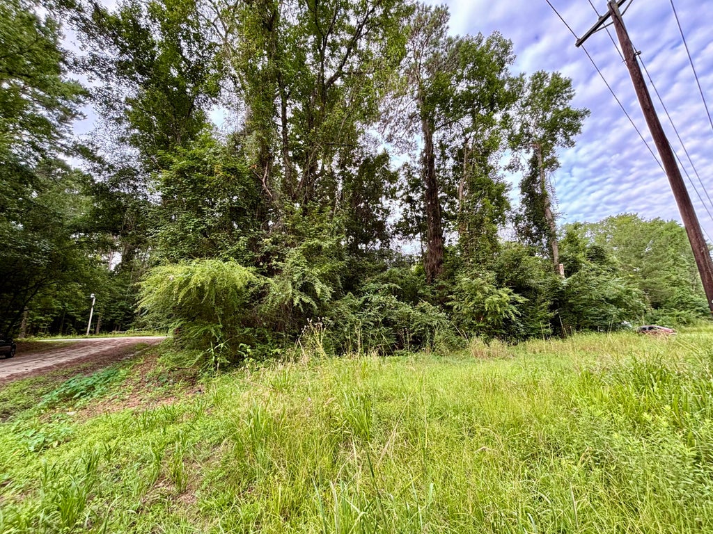 Photo of 0 Glayton Drive, Ravenel, SC 29470 (MLS # 26021463)