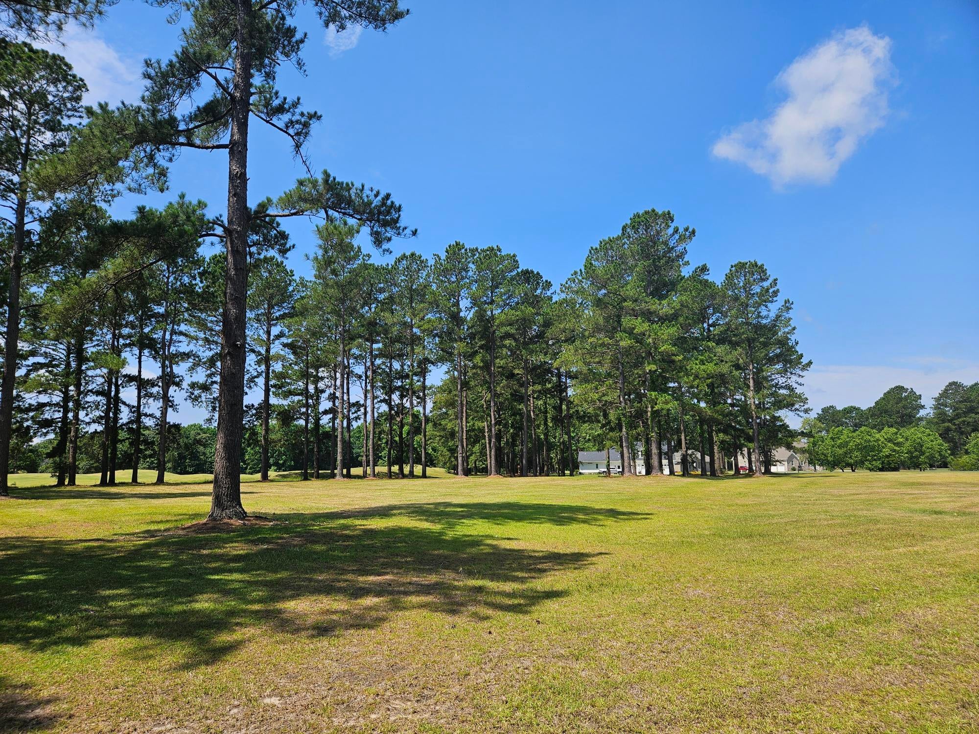 423 Pinelake Court