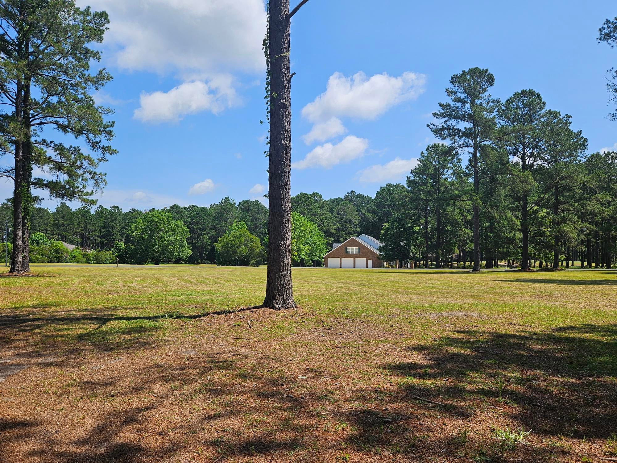 423 Pinelake Court