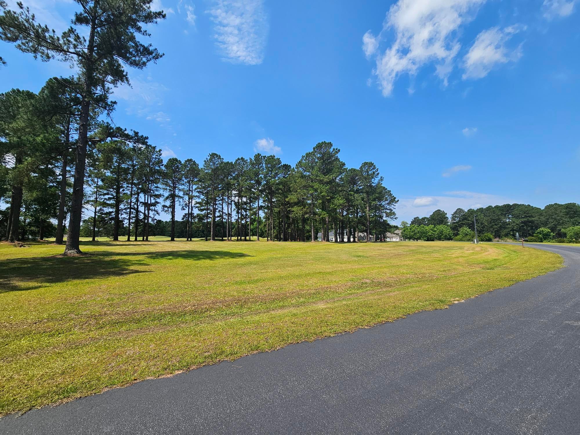 423 Pinelake Court
