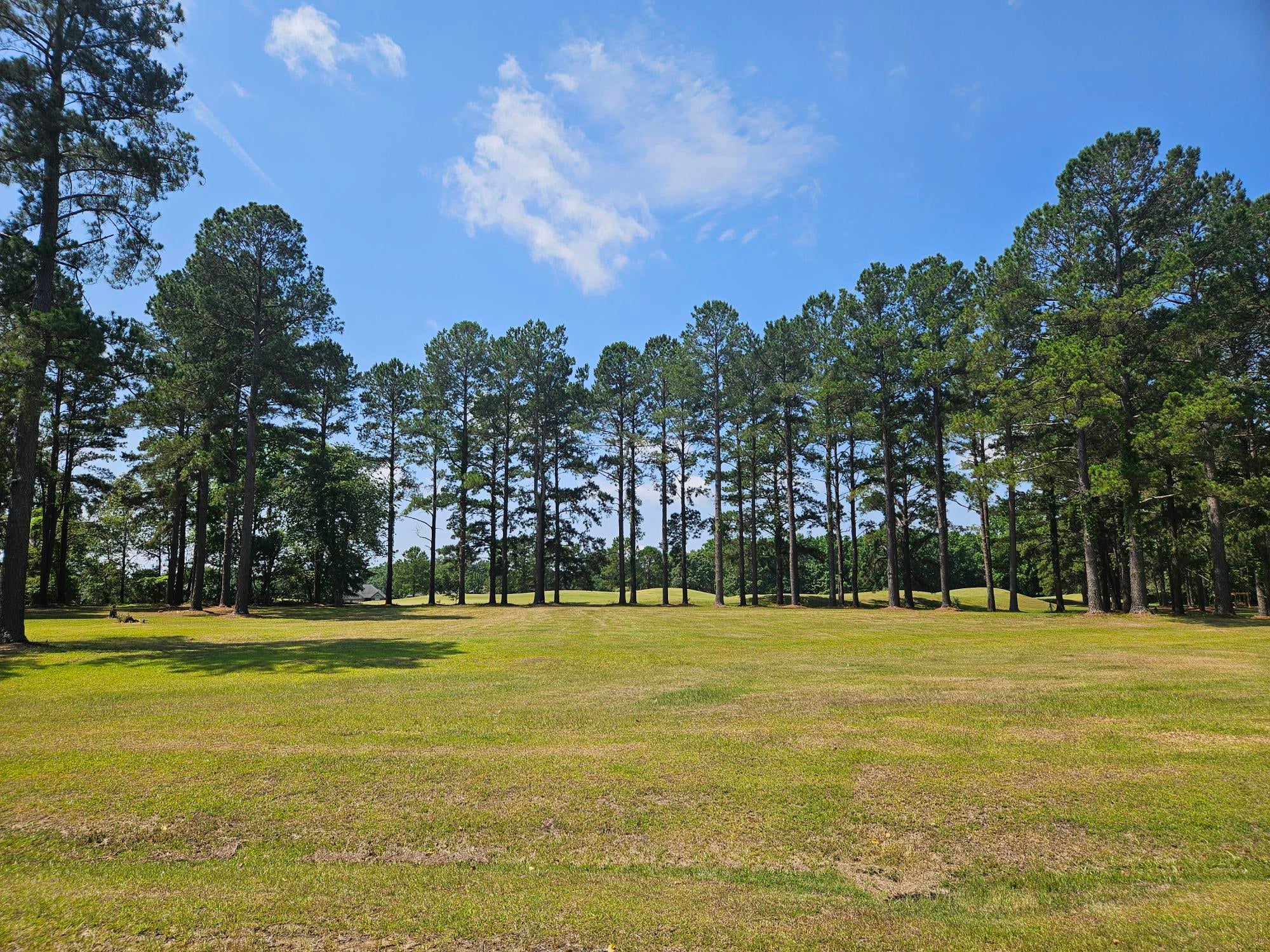 423 Pinelake Court
