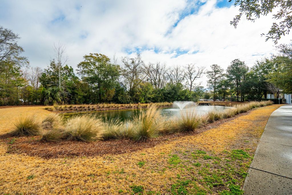 Photo of 1313 Founders Way, Mount Pleasant, SC 29464 (MLS # 26004656)