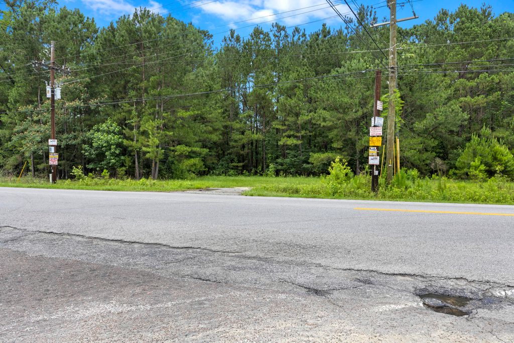 Photo of 406 Myers Road, Summerville, SC 29486 (MLS # 25015277)