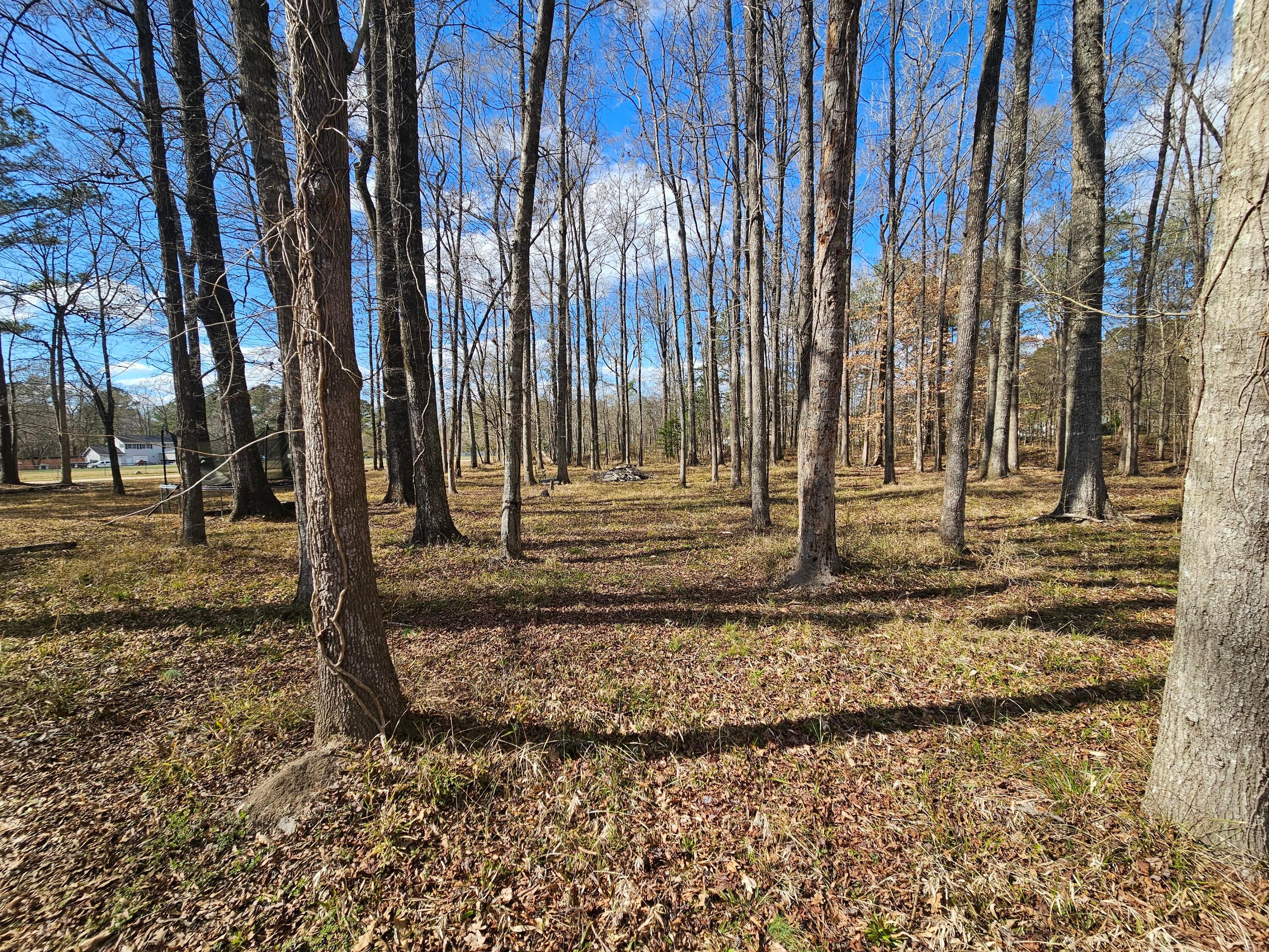 271 Winningham Road
