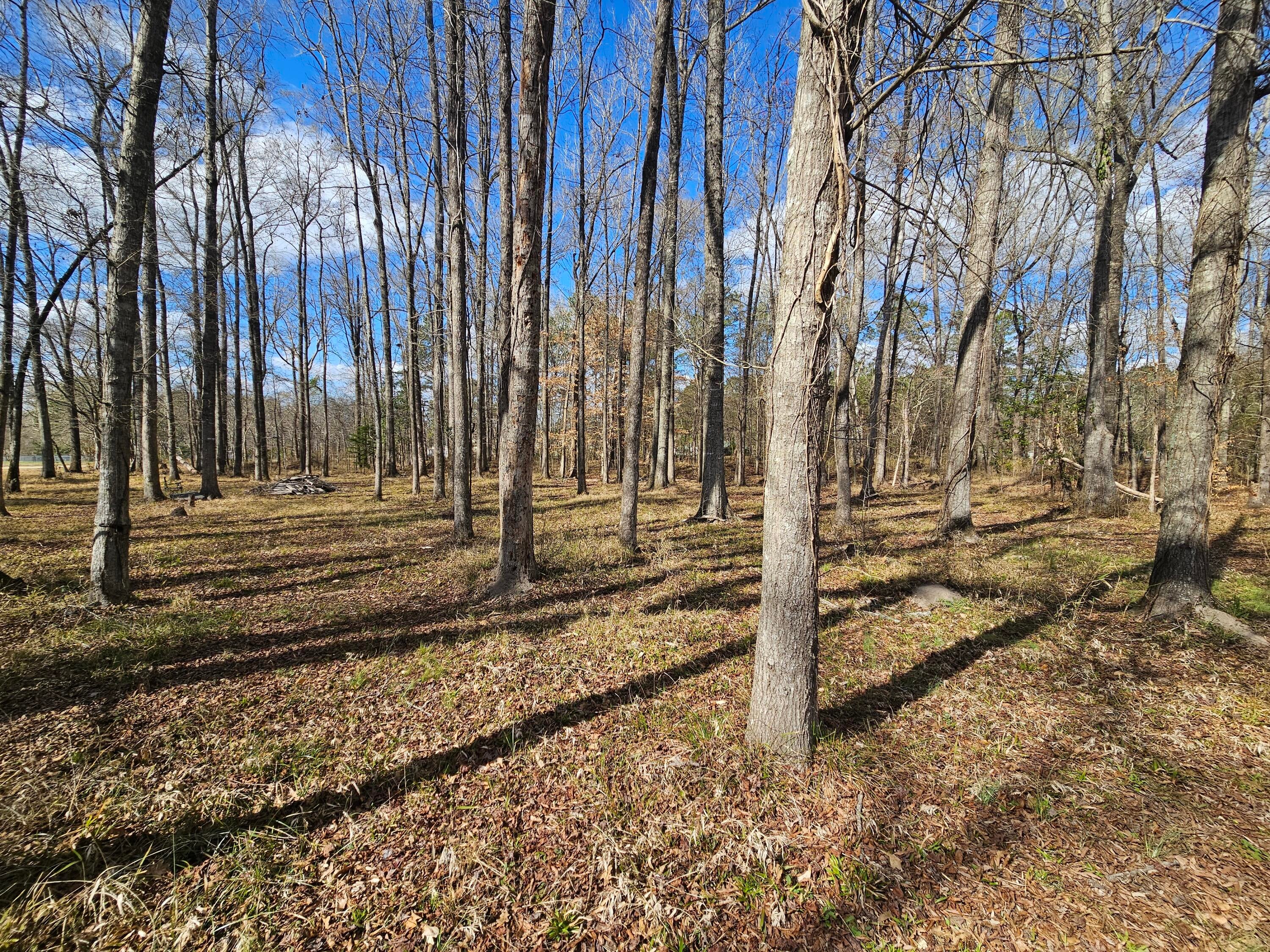 271 Winningham Road