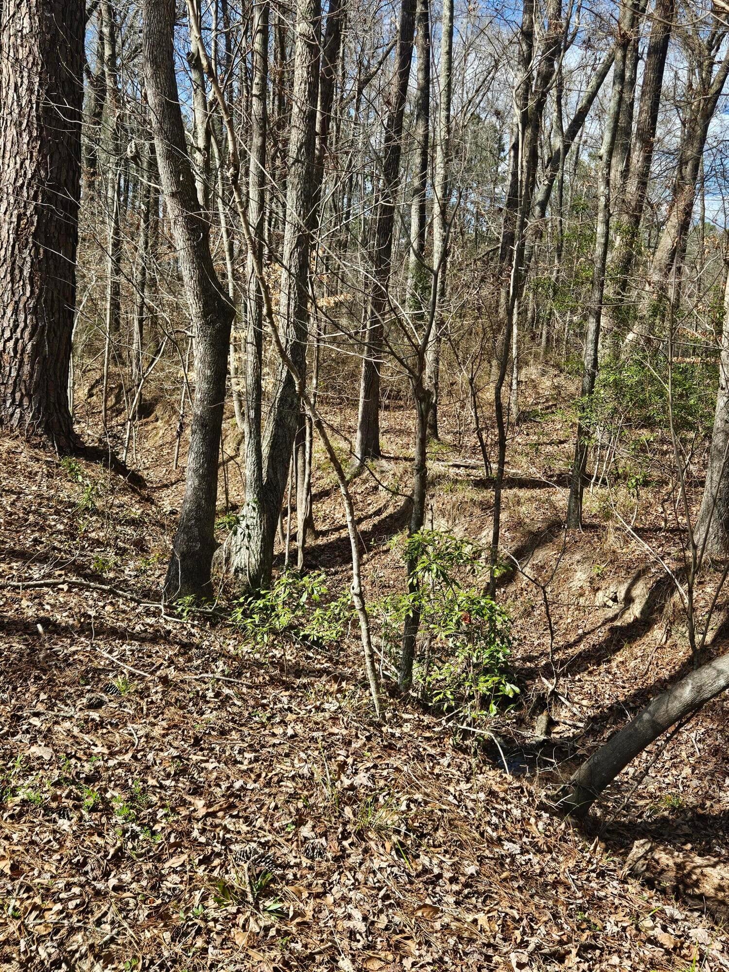 271 Winningham Road