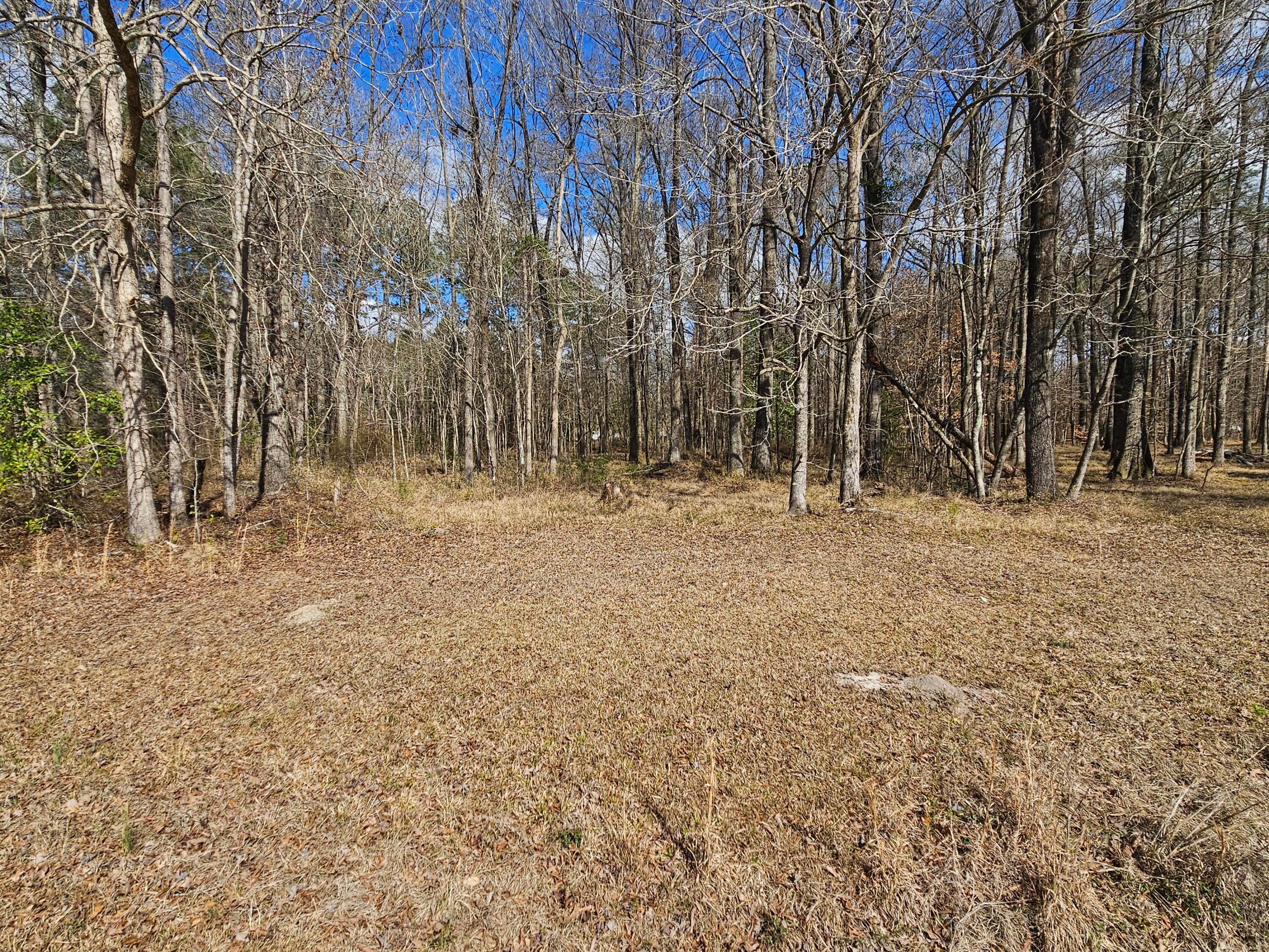 271 Winningham Road