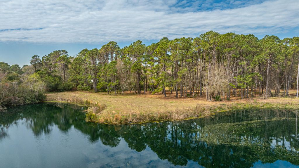 Photo of 4297 Wild Turkey Way, Johns Island, SC 29455 (MLS # 26007363)