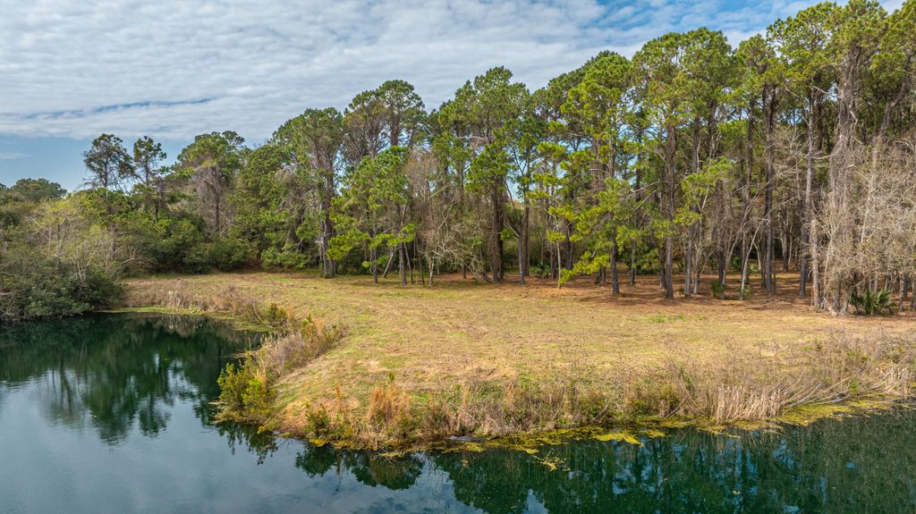 Photo of 4297 Wild Turkey Way, Johns Island, SC 29455 (MLS # 26007363)