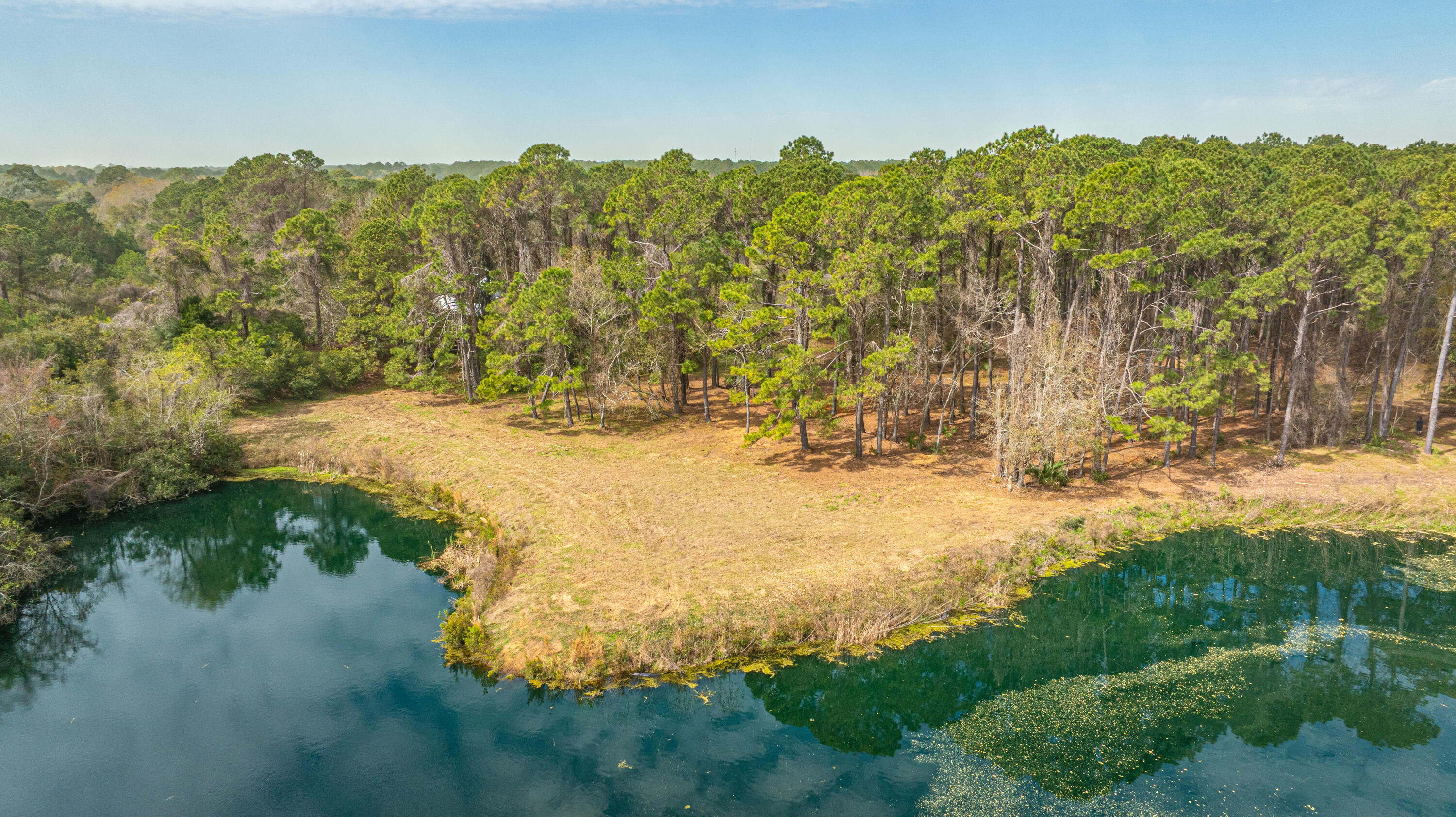 4297 Wild Turkey Way