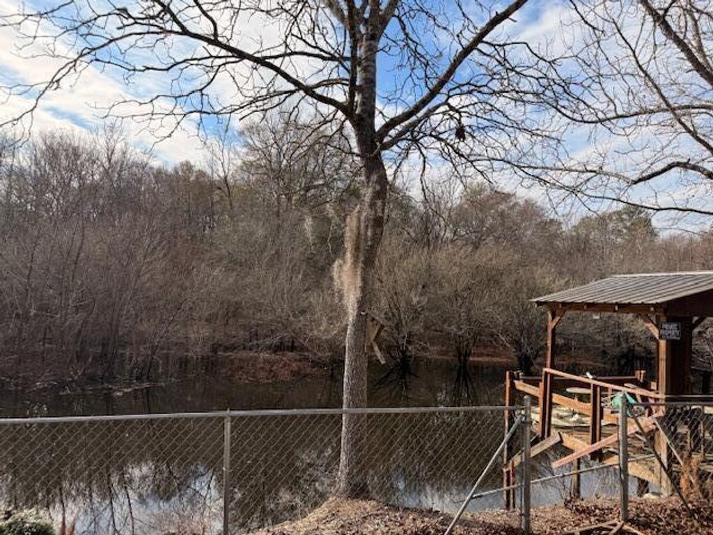 Photo of 218 Cat Hole Lane, Branchville, SC 29432 (MLS # 26002447)