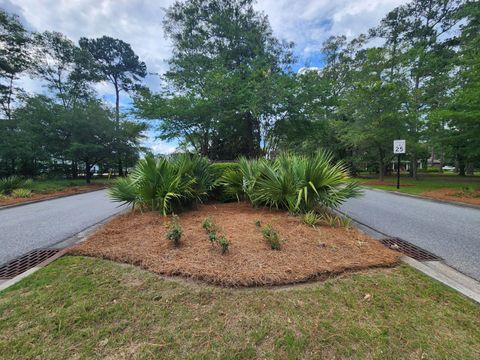 A home in Summerville