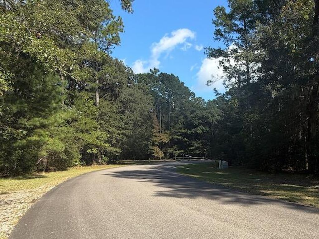 Photo of 3934 Gnarled Oaks Lane, Johns Island, SC 29455 (MLS # 25029918)