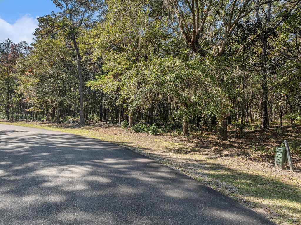 Photo of 3934 Gnarled Oaks Lane, Johns Island, SC 29455 (MLS # 25029918)