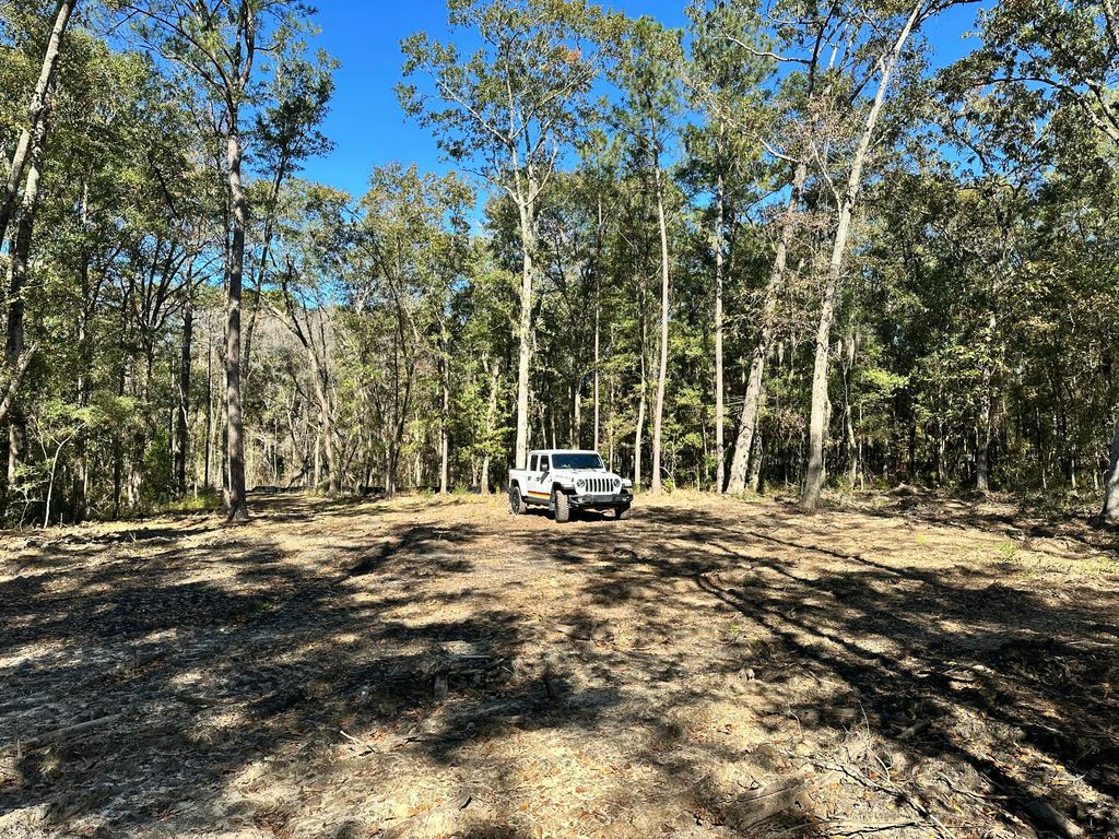 Photo of 3675 Chisolm Road, Johns Island, SC 29455 (MLS # 25030204)