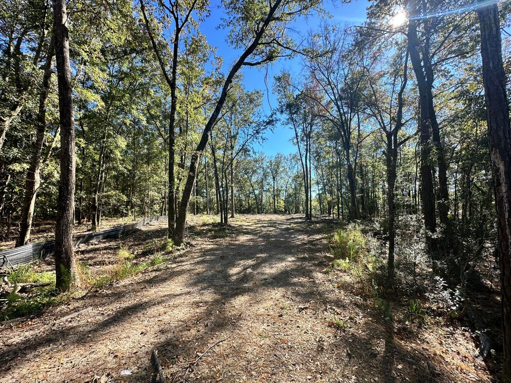 Photo of 3675 Chisolm Road, Johns Island, SC 29455 (MLS # 25030204)