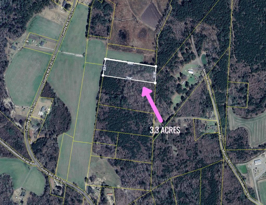 Photo of 0 Pinckney Road, Kingstree, SC 29556 (MLS # 25030921)