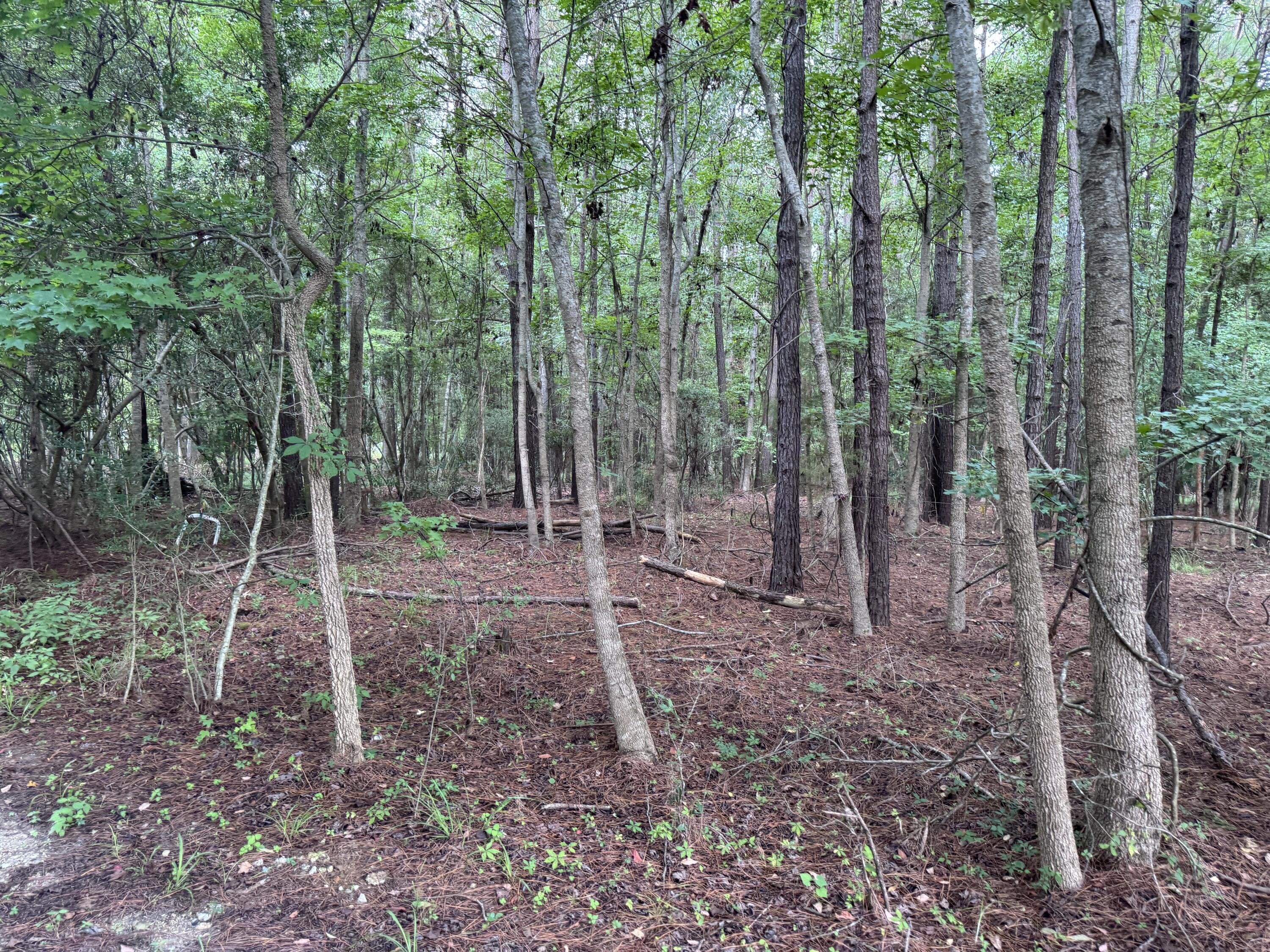 2251 Turkey Hill Road