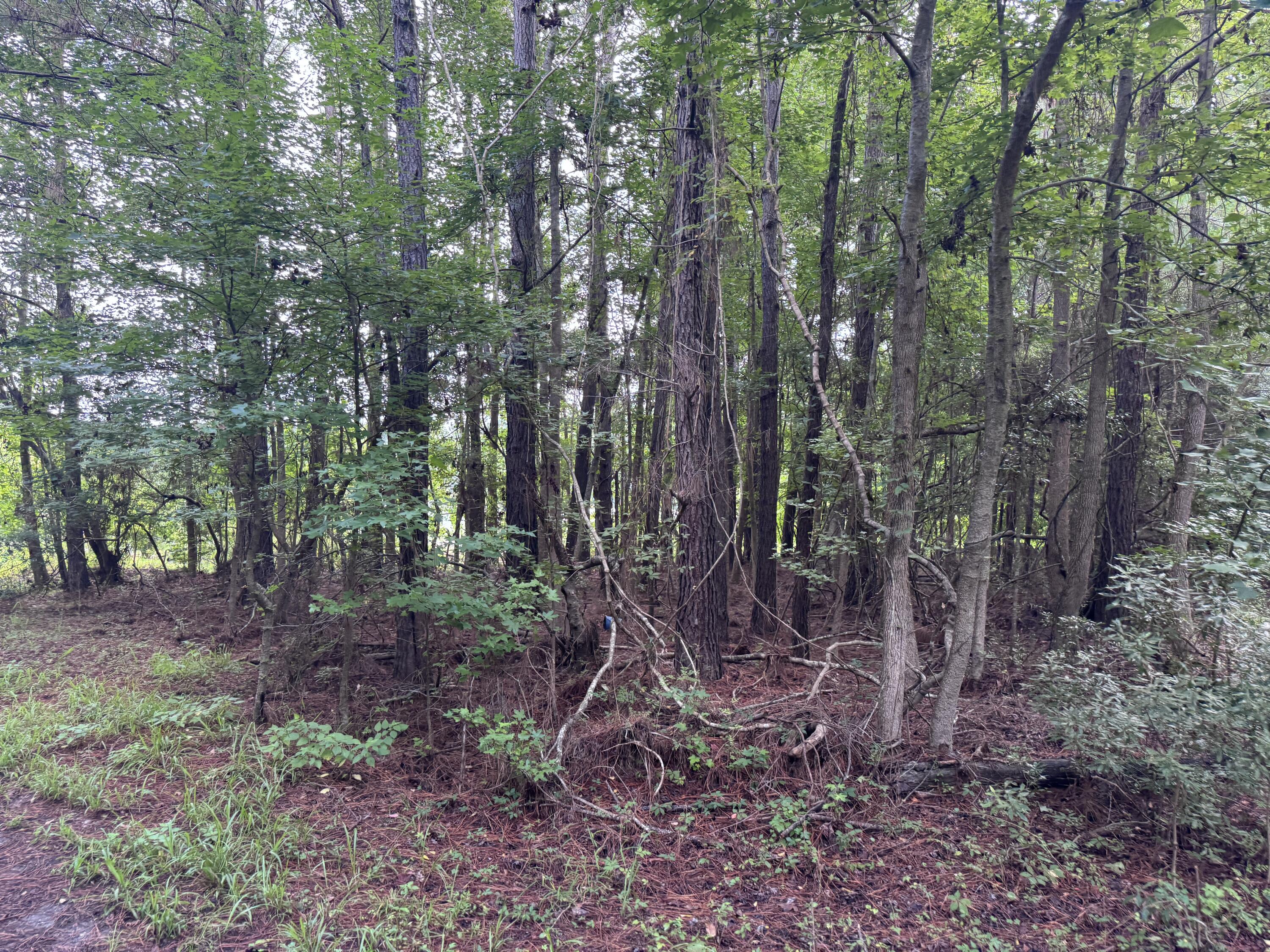 2251 Turkey Hill Road