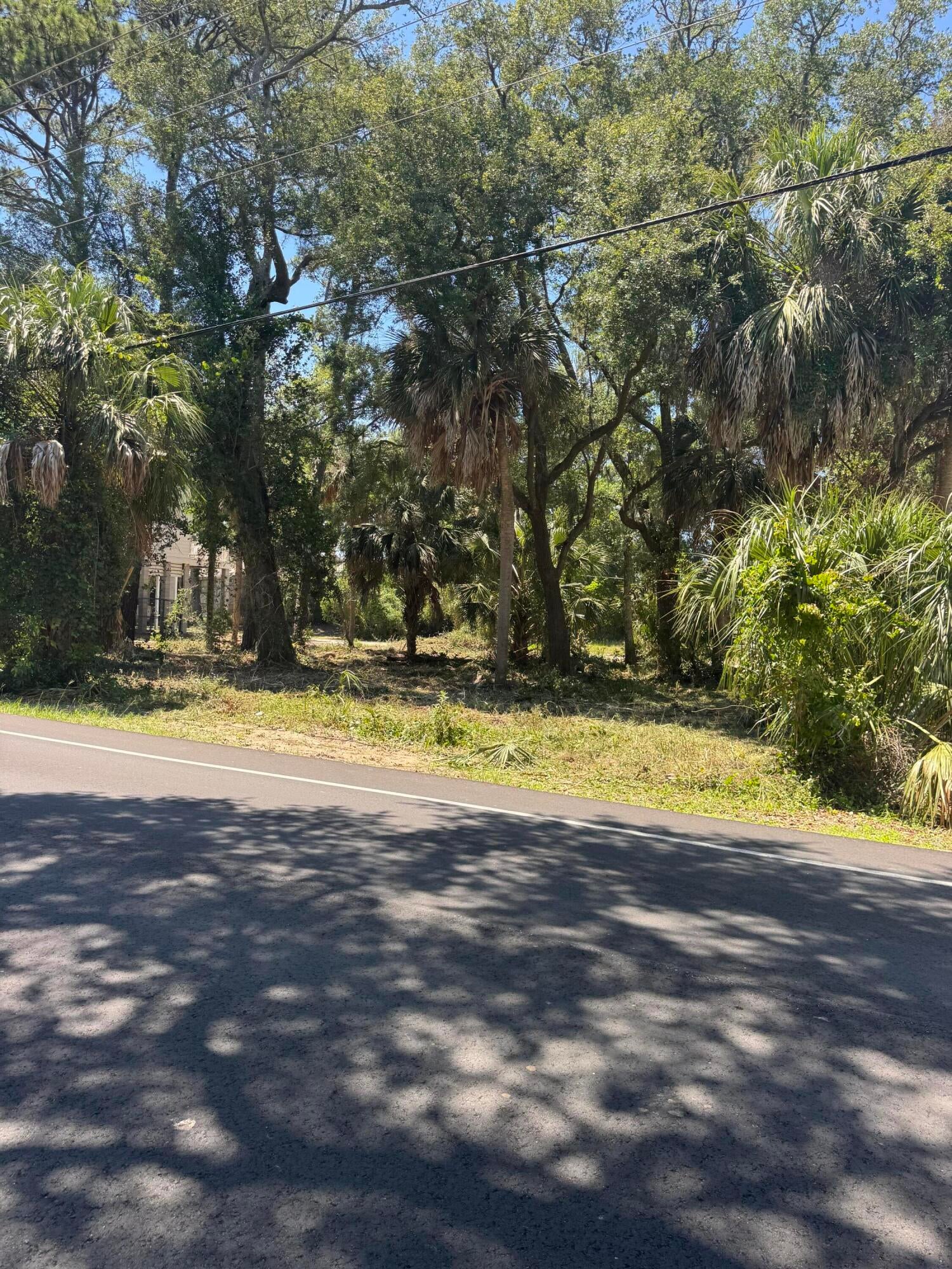 609 Jungle Road, Edisto Beach, SC, 29438