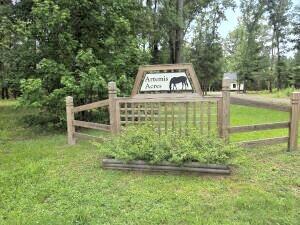 4466 Artemis Lane