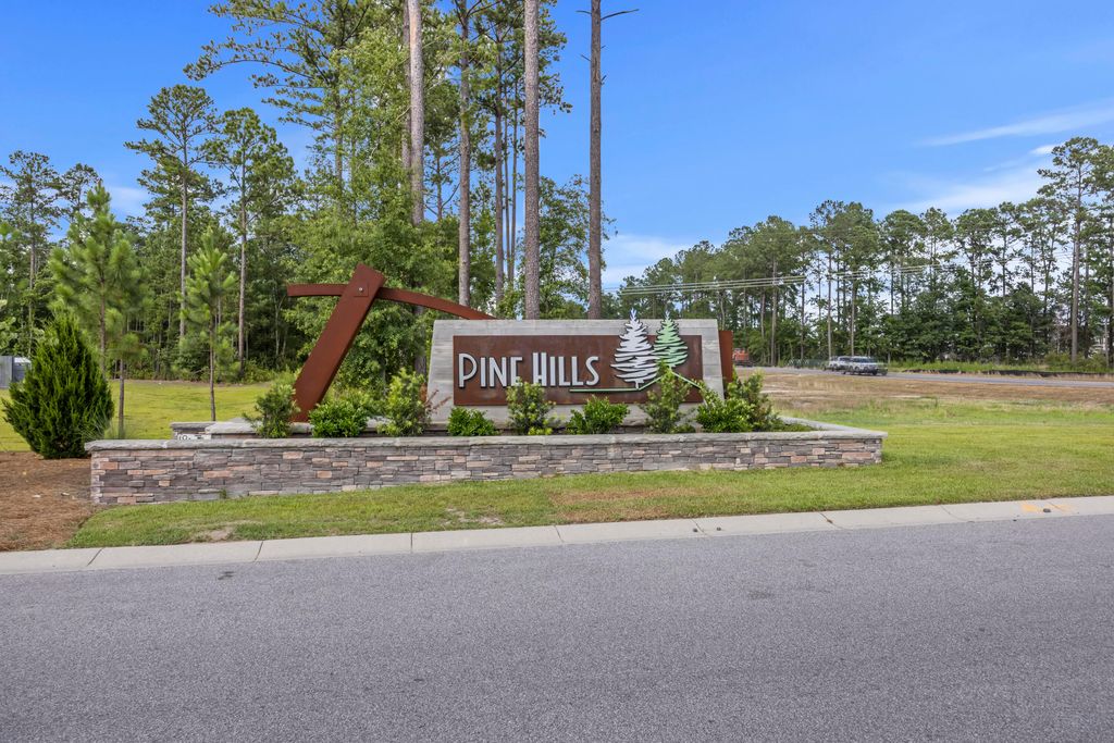 Photo of 315 Black Birch Drive, Summerville, SC 29486 (MLS # 25018774)