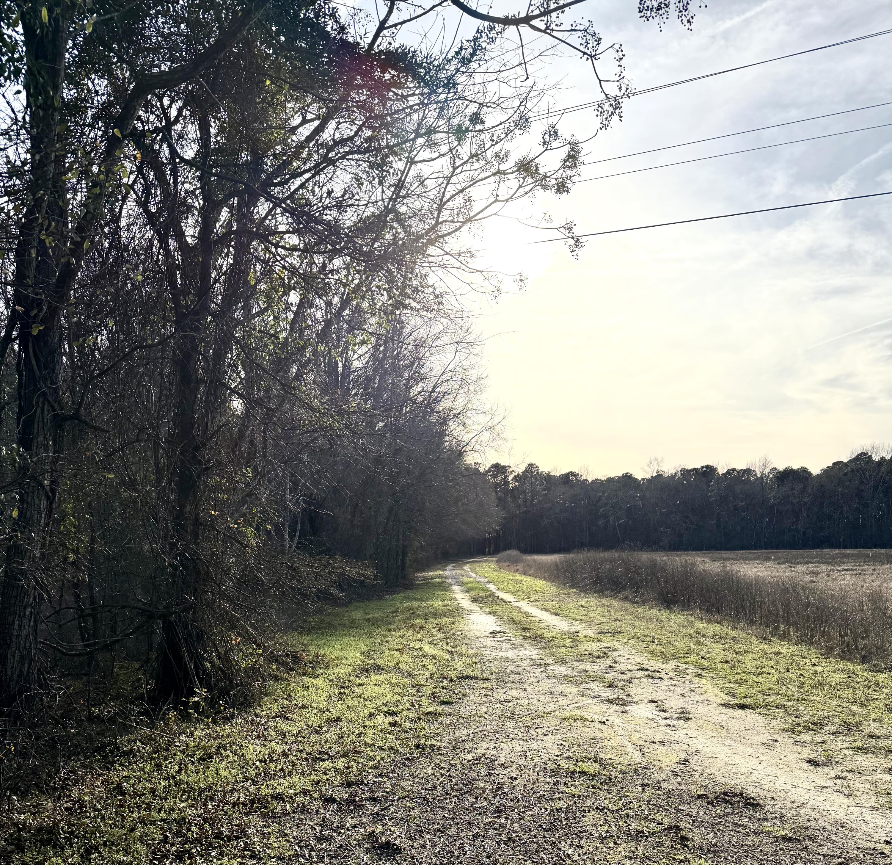 Tbd Felderville Road