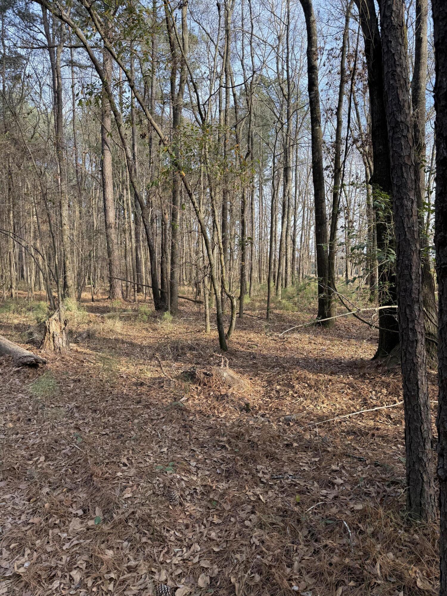 Tbd Felderville Road