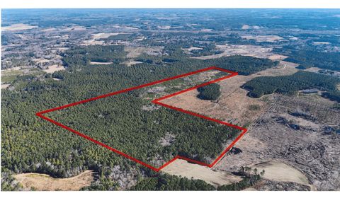 0 Gabes Place Reevesville SC 29471