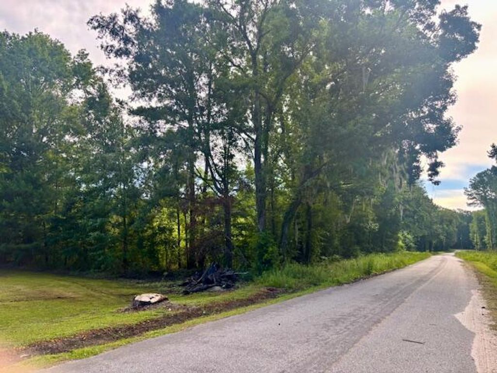 Photo of 8946 Anderson Road, Adams Run, SC 29426 (MLS # 25017266)