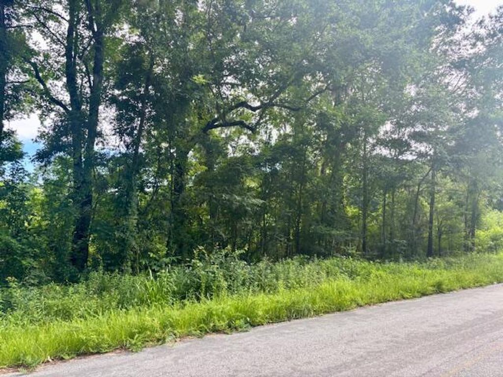 Photo of 8946 Anderson Road, Adams Run, SC 29426 (MLS # 25017266)