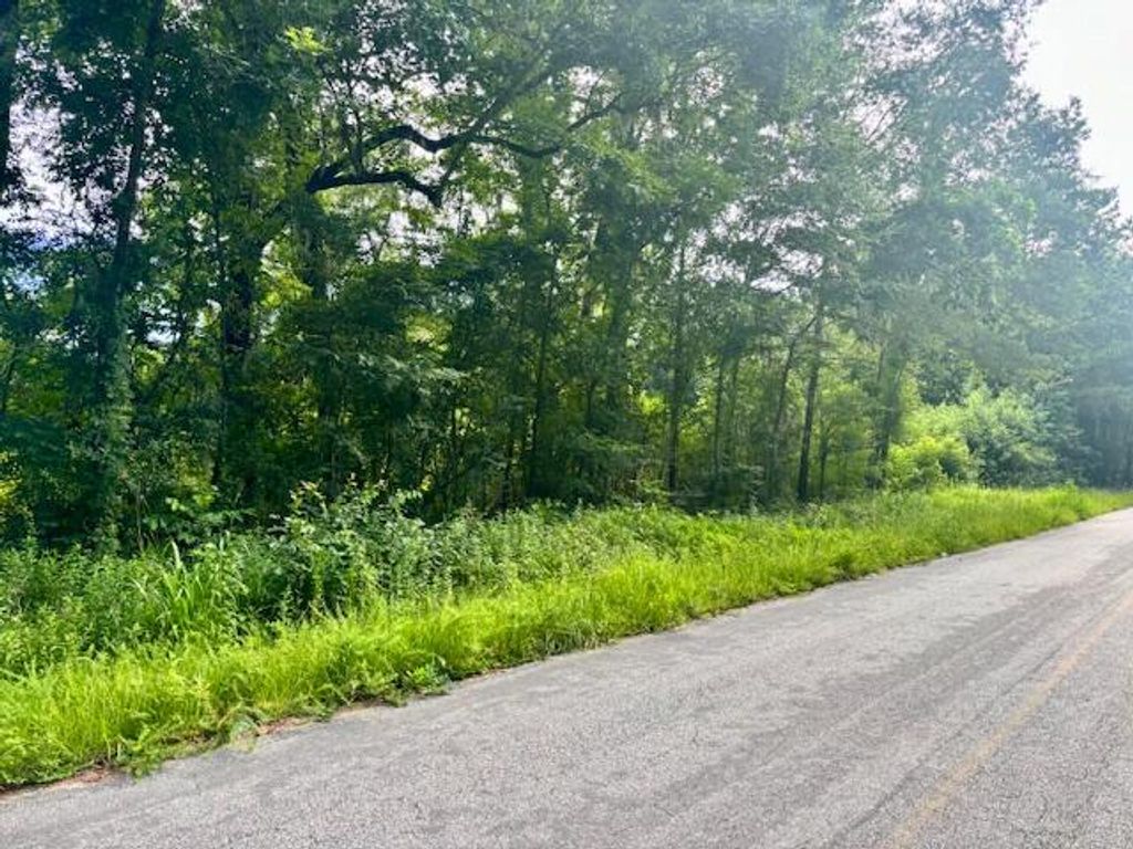 Photo of 8946 Anderson Road, Adams Run, SC 29426 (MLS # 25017266)