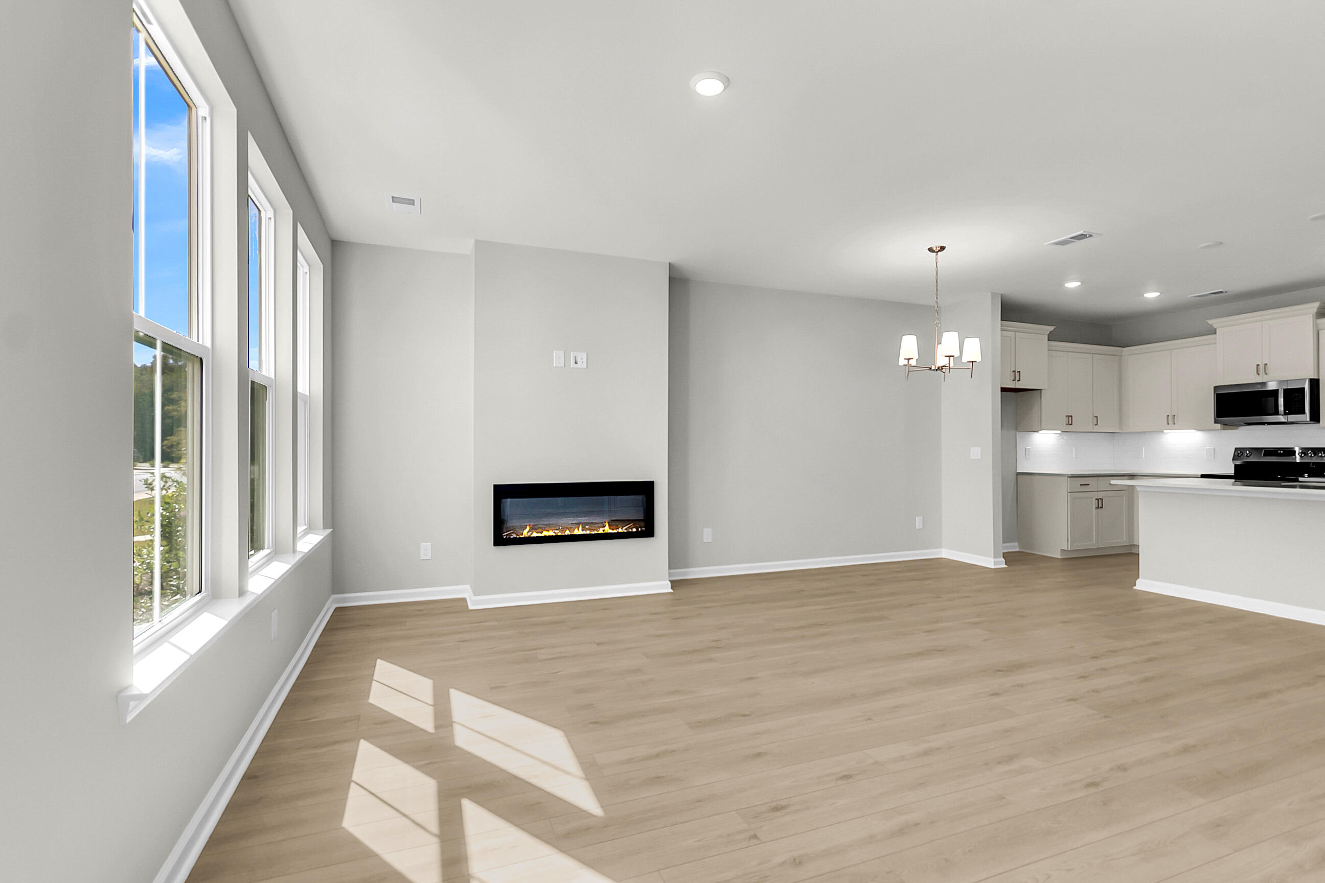 143 Brown Swiss Circle