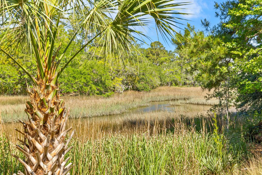 Photo of 113 Historic Drive, Mount Pleasant, SC 29464 (MLS # 26014287)